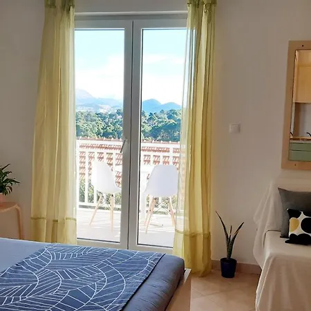 Studio Apartment Green Olive Kolocep Island
