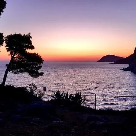 Studio Apartment Green Olive Daire Kolocep Island