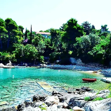 Studio Apartment Green Olive Διαμέρισμα *
