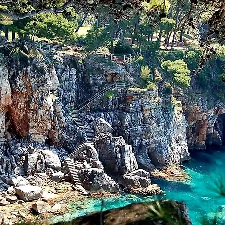 Studio Apartment Green Olive Διαμέρισμα Kolocep Island