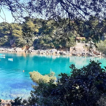 Studio Apartment Green Olive Kolocep Island